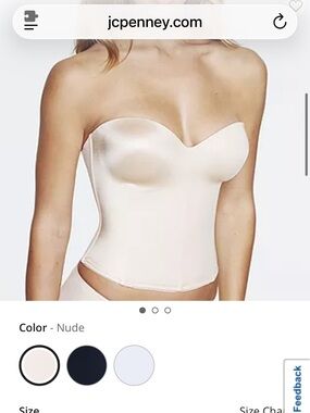 NWT Dominique Ariel Underwire Bustier 8541